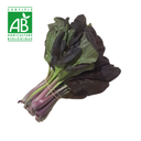 Brèdes mauve BIO x1 botte