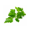 Persil x1 paquet