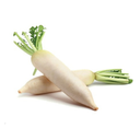 Navet sans feuilles ~750g