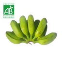 Banane carrée BIO ~1kg
