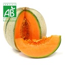 Melon BIO x1 ~700g
