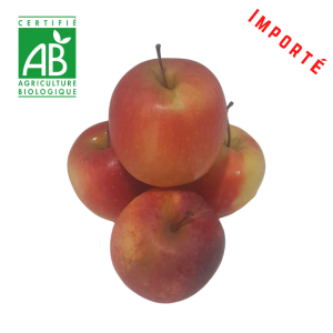 Pomme Story BIO (Métropole) ~750g