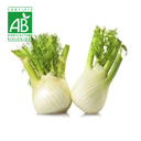 Fenouil BIO ~750g
