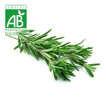 Romarin BIO (un peu sec) x1 paquet