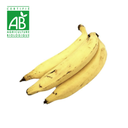 Banane Plantain BIO ~1kg