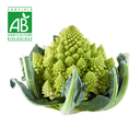 Chou Romanesco BIO ~750g
