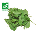 Epinard BIO ~100g